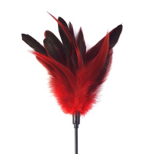 Лоскітка червона Art of Sex - Feather Paddle, перо молодого півня. Photo 2