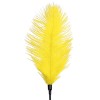 Лоскітка зі страусиним пером Art of Sex - Feather Tickler, колір Жовтий