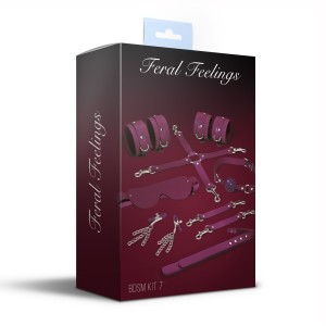 Набір Feral Feelings BDSM Kit 7 Burgundy, наручники, поножі, конектор, маска, падл, кляп, затискачі. Photo 2