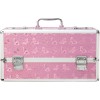 Кейс для зберігання секс-іграшок BMS Factory - Large Lokable Vibrator Case Pink